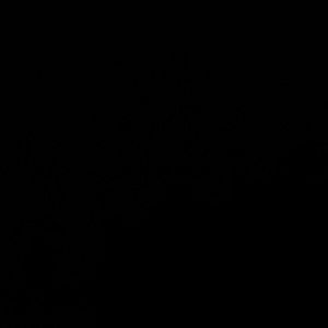 Meet your Posher, Jordan the